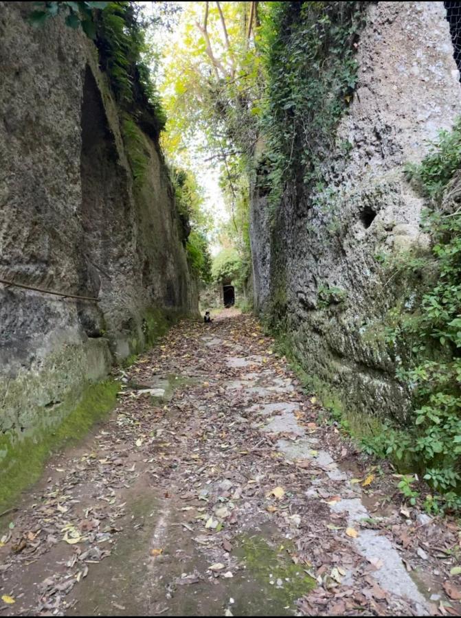 Affittacamere Licenza N.1 Presso La Magica Torre Pitigliano Exterior photo